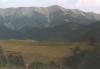 nizketatry106